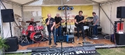2026 Burgmauer Horn